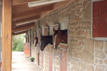 Infrastructure du Haras de Ménil Jean