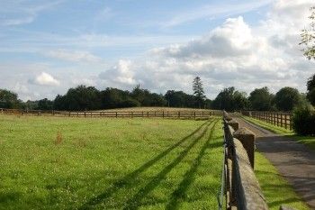 Présentation Haras de Ménil Jean