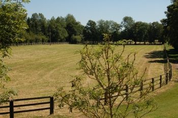 Présentation Haras de Ménil Jean