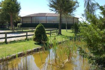 Gué pour les chevaux Haras de Meniljean