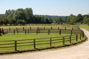 Paddock Haras de Meniljean